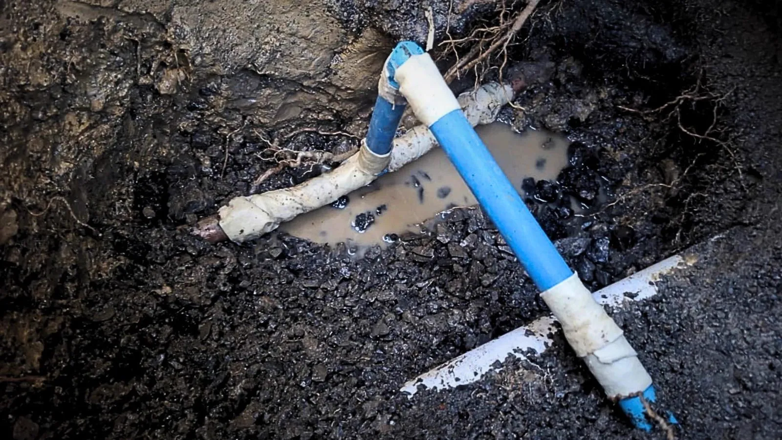 Water Leak Repairs Auckland