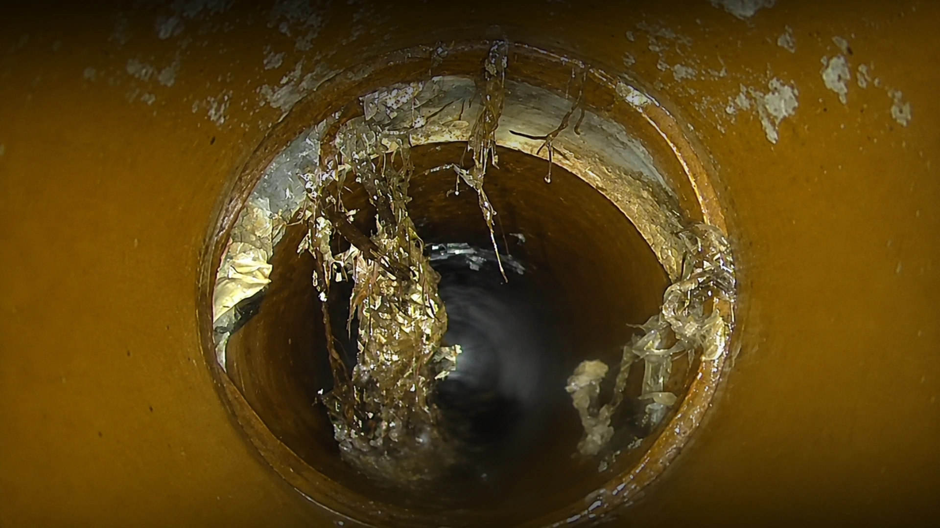 CCTV Drain Inspections Auckland